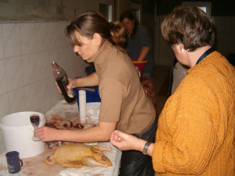 HPIM2302.JPG