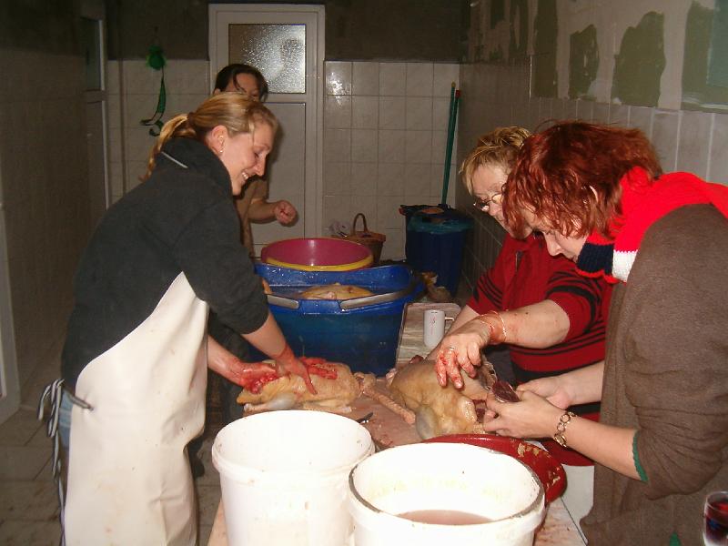 HPIM2303.JPG