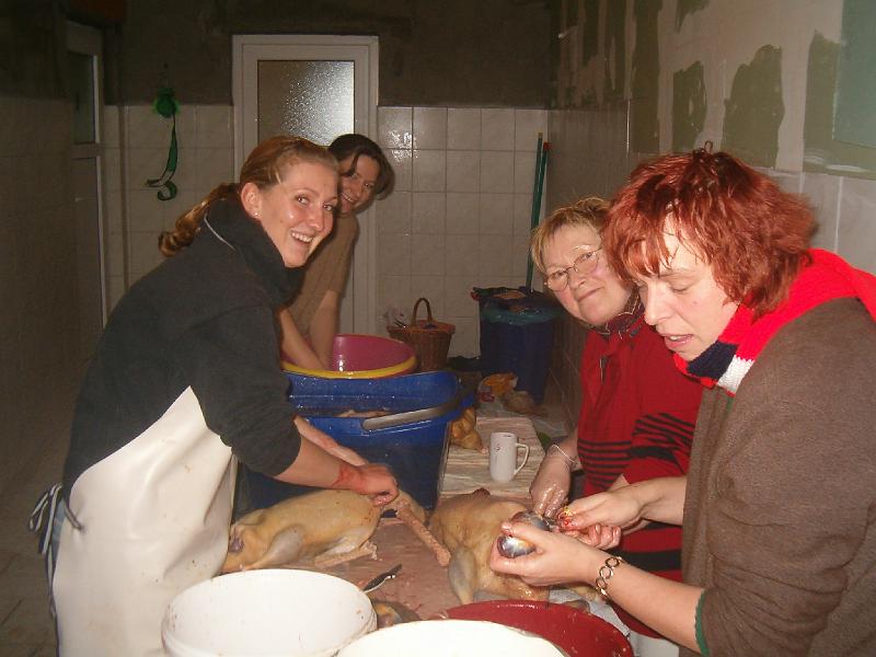 HPIM2305.JPG