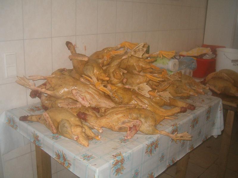 HPIM2311.JPG