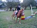 HPIM3052a