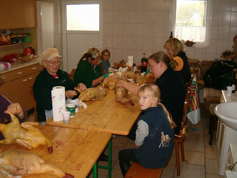 HPIM3075.JPG
