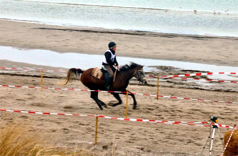 Bild28.jpg