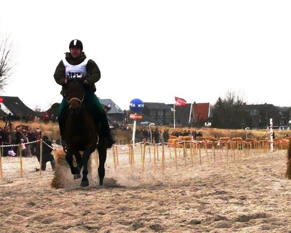 olaf2_P1020083.JPG